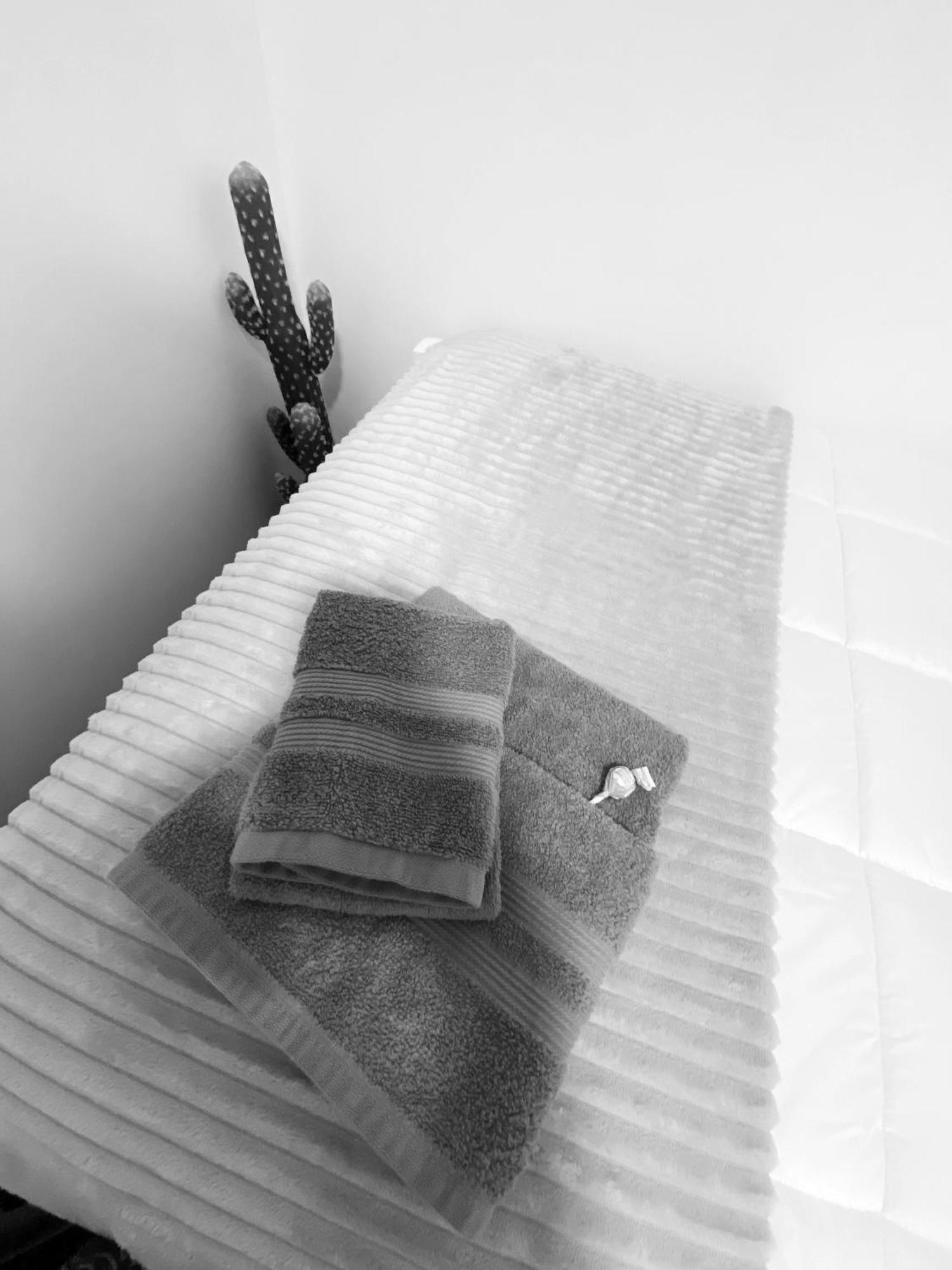 Casa Da Fonte - Alojamento Local Com Jacuzzi 诺德什蒂 外观 照片